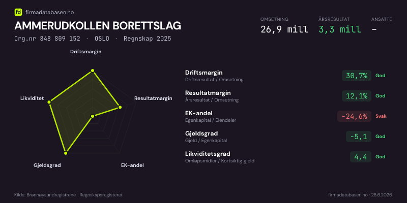 Økonomisk helseprofil for AMMERUDKOLLEN BORETTSLAG (Org.nr 848 809 152) i OSLO. Omsetning 26,9 mill, årsresultat 3,3 mill, driftsmargin 30,7 %, resultatmargin 12,1 %, EK-andel -24,6 %, gjeldsgrad -5,1, likviditetsgrad 4,4. Regnskap 2025. Kilde: firmadatabasen.no