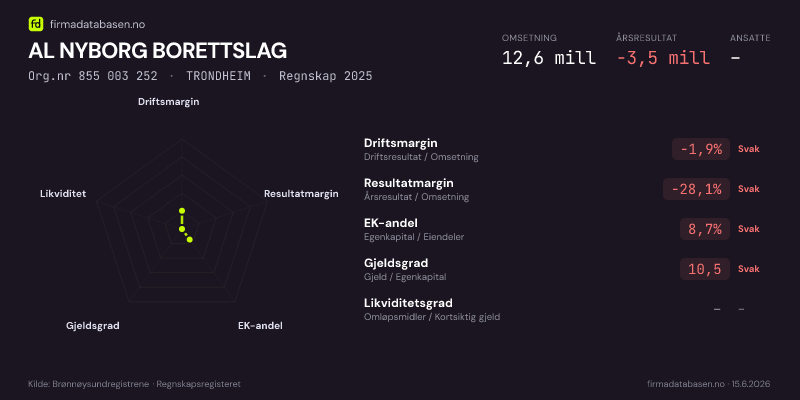 Økonomisk helseprofil for AL NYBORG BORETTSLAG (Org.nr 855 003 252) i TRONDHEIM. Omsetning 12,6 mill, årsresultat −3,5 mill, driftsmargin -1,9 %, resultatmargin -28,1 %, EK-andel 8,7 %, gjeldsgrad 10,5, likviditetsgrad –. Regnskap 2025. Kilde: firmadatabasen.no