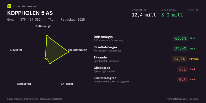 Økonomisk helseprofil for KOPPHOLEN 5 AS (Org.nr 879 454 352) i TAU. Omsetning 12,4 mill, årsresultat 3,0 mill, driftsmargin 66,6 %, resultatmargin 24,4 %, EK-andel 14,1 %, gjeldsgrad 6,1, likviditetsgrad 0,3. Regnskap 2025. Kilde: firmadatabasen.no