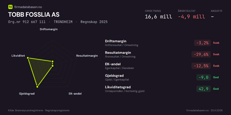 Økonomisk helseprofil for TOBB FOSSLIA AS (Org.nr 912 667 111) i TRONDHEIM. Omsetning 16,6 mill, årsresultat −4,9 mill, driftsmargin -3,2 %, resultatmargin -29,6 %, EK-andel -12,5 %, gjeldsgrad -9,0, likviditetsgrad 42,9. Regnskap 2025. Kilde: firmadatabasen.no