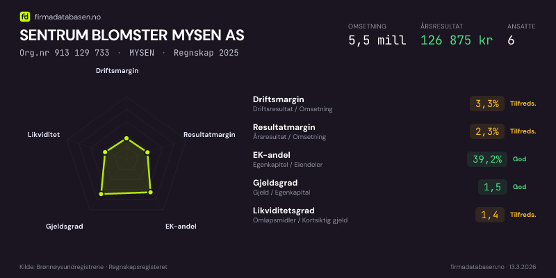Økonomisk helseprofil for SENTRUM BLOMSTER MYSEN AS (Org.nr 913 129 733) i MYSEN. Omsetning 5,5 mill, årsresultat 126 875 kr, driftsmargin 3,3 %, resultatmargin 2,3 %, EK-andel 39,2 %, gjeldsgrad 1,5, likviditetsgrad 1,4. Regnskap 2025. Kilde: firmadatabasen.no