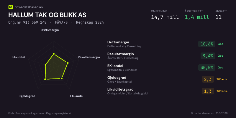 Økonomisk helseprofil for HALLUM TAK OG BLIKK AS (Org.nr 913 569 148) i FÅVANG. Omsetning 14,7 mill, årsresultat 1,4 mill, driftsmargin 10,6 %, resultatmargin 9,4 %, EK-andel 30,5 %, gjeldsgrad 2,3, likviditetsgrad 1,3. Regnskap 2024. Kilde: firmadatabasen.no