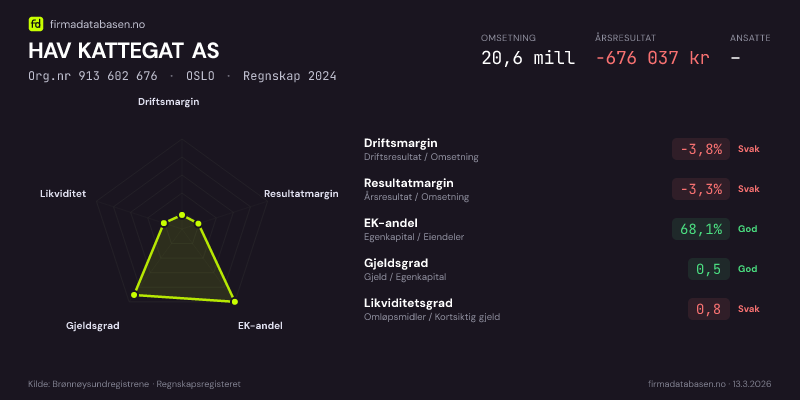 Økonomisk helseprofil for HAV KATTEGAT AS (Org.nr 913 602 676) i OSLO. Omsetning 20,6 mill, årsresultat −676 037 kr, driftsmargin -3,8 %, resultatmargin -3,3 %, EK-andel 68,1 %, gjeldsgrad 0,5, likviditetsgrad 0,8. Regnskap 2024. Kilde: firmadatabasen.no