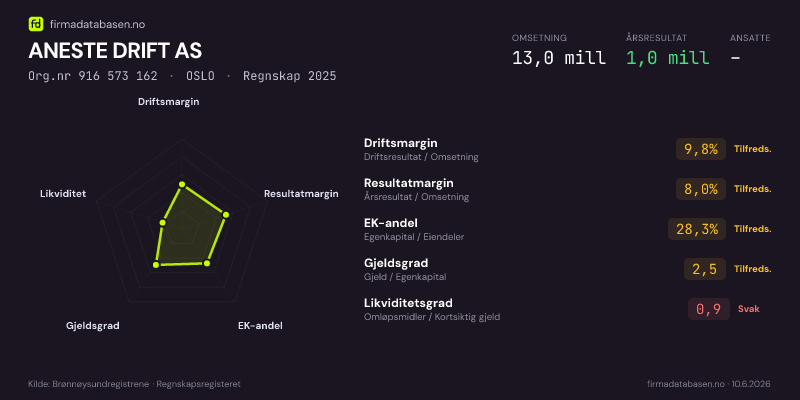 Økonomisk helseprofil for ANESTE DRIFT AS (Org.nr 916 573 162) i OSLO. Omsetning 13,0 mill, årsresultat 1,0 mill, driftsmargin 9,8 %, resultatmargin 8,0 %, EK-andel 28,3 %, gjeldsgrad 2,5, likviditetsgrad 0,9. Regnskap 2025. Kilde: firmadatabasen.no