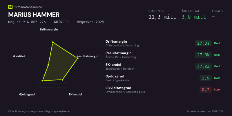 Økonomisk helseprofil for MARIUS HAMMER (Org.nr 916 805 276) i GRINDER. Omsetning 11,3 mill, årsresultat 3,0 mill, driftsmargin 27,0 %, resultatmargin 27,0 %, EK-andel 37,8 %, gjeldsgrad 1,6, likviditetsgrad 0,7. Regnskap 2025. Kilde: firmadatabasen.no