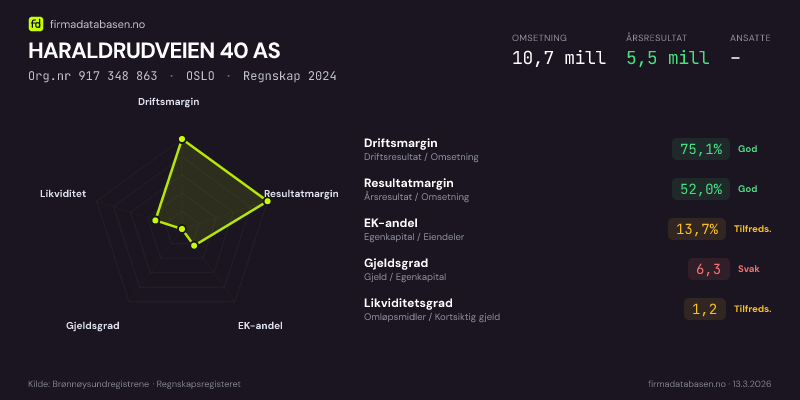 Økonomisk helseprofil for HARALDRUDVEIEN 40 AS (Org.nr 917 348 863) i OSLO. Omsetning 10,7 mill, årsresultat 5,5 mill, driftsmargin 75,1 %, resultatmargin 52,0 %, EK-andel 13,7 %, gjeldsgrad 6,3, likviditetsgrad 1,2. Regnskap 2024. Kilde: firmadatabasen.no