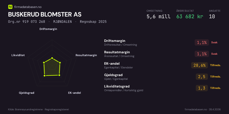 Økonomisk helseprofil for BUSKERUD BLOMSTER AS (Org.nr 919 073 268) i MJØNDALEN. Omsetning 5,6 mill, årsresultat 63 682 kr, driftsmargin 1,1 %, resultatmargin 1,1 %, EK-andel 28,6 %, gjeldsgrad 2,5, likviditetsgrad 1,3. Regnskap 2025. Kilde: firmadatabasen.no