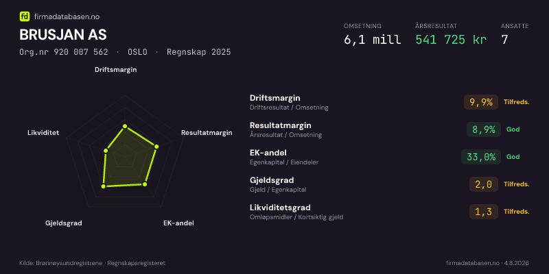 Økonomisk helseprofil for BRUSJAN AS (Org.nr 920 007 562) i OSLO. Omsetning 6,1 mill, årsresultat 541 725 kr, driftsmargin 9,9 %, resultatmargin 8,9 %, EK-andel 33,0 %, gjeldsgrad 2,0, likviditetsgrad 1,3. Regnskap 2025. Kilde: firmadatabasen.no