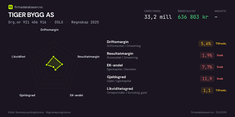Økonomisk helseprofil for TIGER BYGG AS (Org.nr 921 406 916) i OSLO. Omsetning 33,2 mill, årsresultat 636 803 kr, driftsmargin 5,6 %, resultatmargin 1,9 %, EK-andel 7,7 %, gjeldsgrad 11,9, likviditetsgrad 1,1. Regnskap 2025. Kilde: firmadatabasen.no