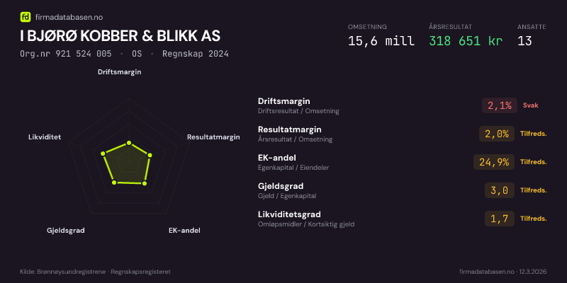 Økonomisk helseprofil for I BJØRØ KOBBER & BLIKK AS (Org.nr 921 524 005) i OS. Omsetning 15,6 mill, årsresultat 318 651 kr, driftsmargin 2,1 %, resultatmargin 2,0 %, EK-andel 24,9 %, gjeldsgrad 3,0, likviditetsgrad 1,7. Regnskap 2024. Kilde: firmadatabasen.no