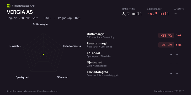 Økonomisk helseprofil for VERGIA AS (Org.nr 928 601 919) i OSLO. Omsetning 6,2 mill, årsresultat −4,9 mill, driftsmargin -28,7 %, resultatmargin -80,3 %, EK-andel –, gjeldsgrad –, likviditetsgrad –. Regnskap 2025. Kilde: firmadatabasen.no