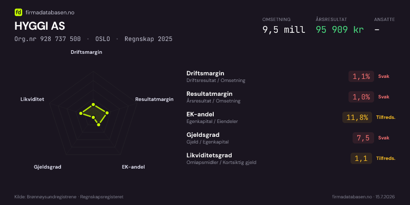 Økonomisk helseprofil for HYGGI AS (Org.nr 928 737 500) i OSLO. Omsetning 9,5 mill, årsresultat 95 909 kr, driftsmargin 1,1 %, resultatmargin 1,0 %, EK-andel 11,8 %, gjeldsgrad 7,5, likviditetsgrad 1,1. Regnskap 2025. Kilde: firmadatabasen.no