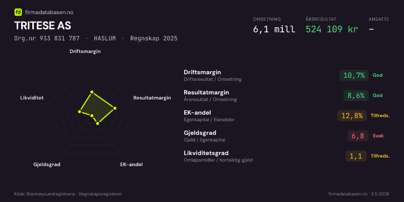 Økonomisk helseprofil for TRITESE AS (Org.nr 933 831 787) i HASLUM. Omsetning 6,1 mill, årsresultat 524 109 kr, driftsmargin 10,7 %, resultatmargin 8,6 %, EK-andel 12,8 %, gjeldsgrad 6,8, likviditetsgrad 1,1. Regnskap 2025. Kilde: firmadatabasen.no