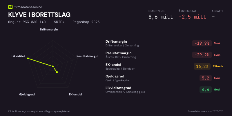 Økonomisk helseprofil for KLYVE I BORETTSLAG (Org.nr 933 860 140) i PORSGRUNN. Omsetning 8,6 mill, årsresultat −2,5 mill, driftsmargin -19,9 %, resultatmargin -29,2 %, EK-andel 16,2 %, gjeldsgrad 5,2, likviditetsgrad 4,4. Regnskap 2025. Kilde: firmadatabasen.no