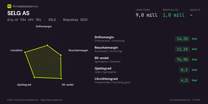 Økonomisk helseprofil for SELG AS (Org.nr 934 494 784) i OSLO. Omsetning 9,0 mill, årsresultat 1,0 mill, driftsmargin 14,2 %, resultatmargin 11,1 %, EK-andel 76,9 %, gjeldsgrad 0,3, likviditetsgrad 4,3. Regnskap 2025. Kilde: firmadatabasen.no