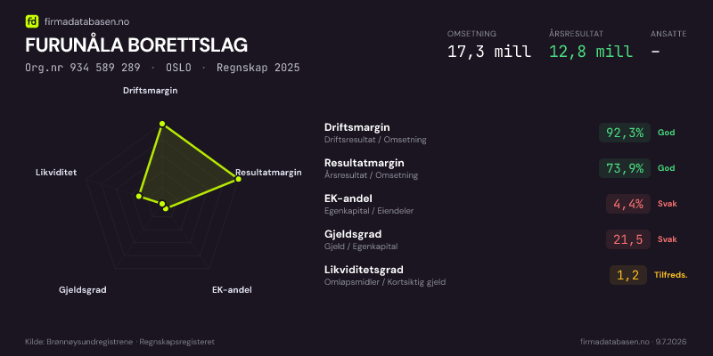 Økonomisk helseprofil for FURUNÅLA BORETTSLAG (Org.nr 934 589 289) i OSLO. Omsetning 17,3 mill, årsresultat 12,8 mill, driftsmargin 92,3 %, resultatmargin 73,9 %, EK-andel 4,4 %, gjeldsgrad 21,5, likviditetsgrad 1,2. Regnskap 2025. Kilde: firmadatabasen.no