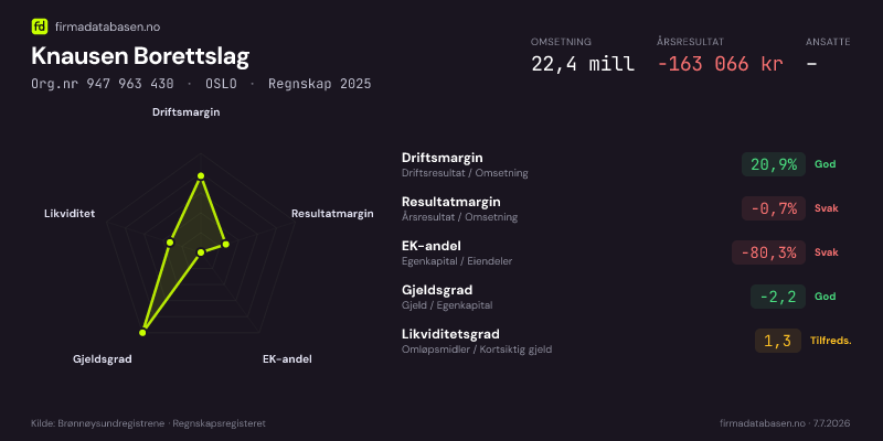 Økonomisk helseprofil for Knausen Borettslag (Org.nr 947 963 430) i OSLO. Omsetning 22,4 mill, årsresultat −163 066 kr, driftsmargin 20,9 %, resultatmargin -0,7 %, EK-andel -80,3 %, gjeldsgrad -2,2, likviditetsgrad 1,3. Regnskap 2025. Kilde: firmadatabasen.no