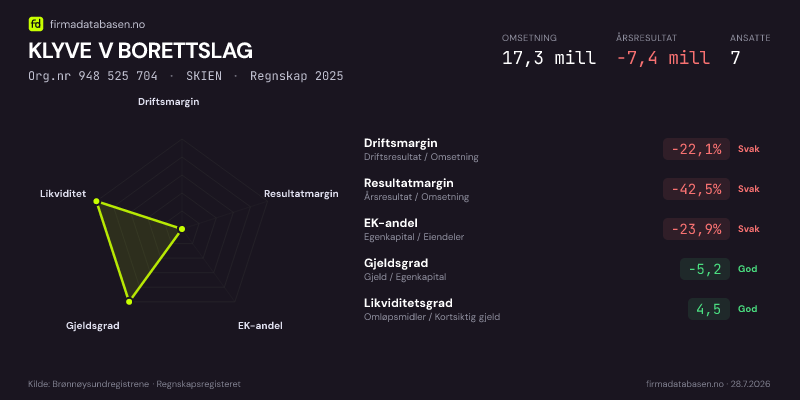Økonomisk helseprofil for KLYVE V BORETTSLAG (Org.nr 948 525 704) i SKIEN. Omsetning 17,3 mill, årsresultat −7,4 mill, driftsmargin -22,1 %, resultatmargin -42,5 %, EK-andel -23,9 %, gjeldsgrad -5,2, likviditetsgrad 4,5. Regnskap 2025. Kilde: firmadatabasen.no