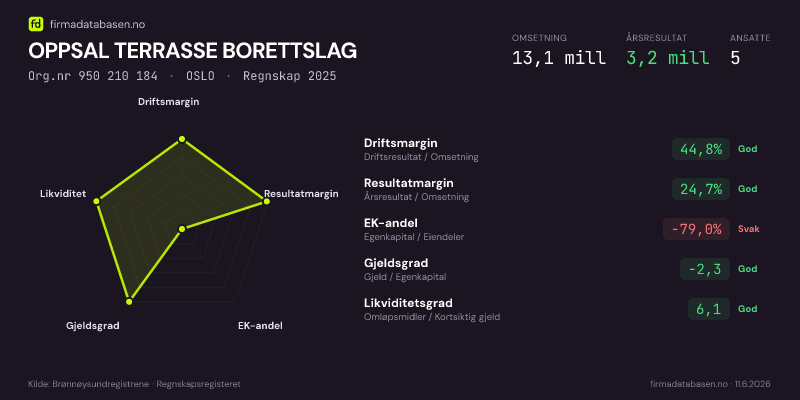 Økonomisk helseprofil for OPPSAL TERRASSE BORETTSLAG (Org.nr 950 210 184) i OSLO. Omsetning 13,1 mill, årsresultat 3,2 mill, driftsmargin 44,8 %, resultatmargin 24,7 %, EK-andel -79,0 %, gjeldsgrad -2,3, likviditetsgrad 6,1. Regnskap 2025. Kilde: firmadatabasen.no