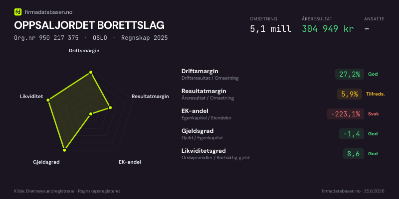 Økonomisk helseprofil for OPPSALJORDET BORETTSLAG (Org.nr 950 217 375) i OSLO. Omsetning 5,1 mill, årsresultat 304 949 kr, driftsmargin 27,2 %, resultatmargin 5,9 %, EK-andel -223,1 %, gjeldsgrad -1,4, likviditetsgrad 8,6. Regnskap 2025. Kilde: firmadatabasen.no