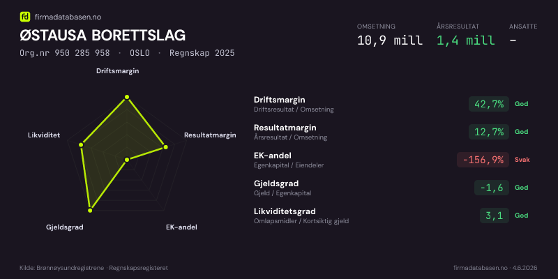 Økonomisk helseprofil for ØSTAUSA BORETTSLAG (Org.nr 950 285 958) i OSLO. Omsetning 10,9 mill, årsresultat 1,4 mill, driftsmargin 42,7 %, resultatmargin 12,7 %, EK-andel -156,9 %, gjeldsgrad -1,6, likviditetsgrad 3,1. Regnskap 2025. Kilde: firmadatabasen.no
