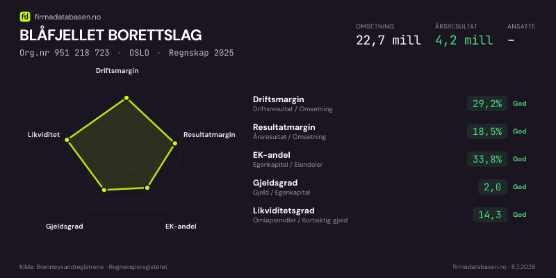 Økonomisk helseprofil for BLÅFJELLET BORETTSLAG (Org.nr 951 218 723) i OSLO. Omsetning 22,7 mill, årsresultat 4,2 mill, driftsmargin 29,2 %, resultatmargin 18,5 %, EK-andel 33,8 %, gjeldsgrad 2,0, likviditetsgrad 14,3. Regnskap 2025. Kilde: firmadatabasen.no