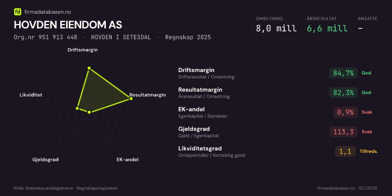 Økonomisk helseprofil for HOVDEN EIENDOM AS (Org.nr 951 913 448) i HOVDEN I SETESDAL. Omsetning 8,0 mill, årsresultat 6,6 mill, driftsmargin 84,7 %, resultatmargin 82,3 %, EK-andel 0,9 %, gjeldsgrad 113,3, likviditetsgrad 1,1. Regnskap 2025. Kilde: firmadatabasen.no