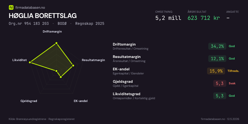 Økonomisk helseprofil for HØGLIA BORETTSLAG (Org.nr 954 183 203) i BODØ. Omsetning 5,2 mill, årsresultat 623 712 kr, driftsmargin 34,2 %, resultatmargin 12,1 %, EK-andel 15,9 %, gjeldsgrad 5,3, likviditetsgrad 5,3. Regnskap 2025. Kilde: firmadatabasen.no