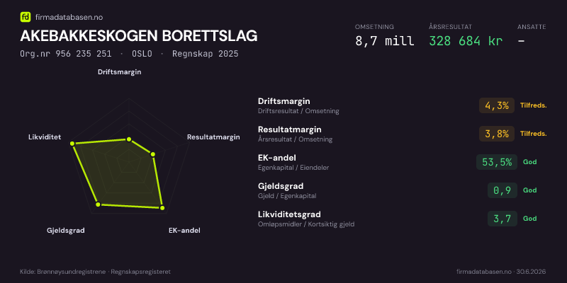 Økonomisk helseprofil for AKEBAKKESKOGEN BORETTSLAG (Org.nr 956 235 251) i OSLO. Omsetning 8,7 mill, årsresultat 328 684 kr, driftsmargin 4,3 %, resultatmargin 3,8 %, EK-andel 53,5 %, gjeldsgrad 0,9, likviditetsgrad 3,7. Regnskap 2025. Kilde: firmadatabasen.no
