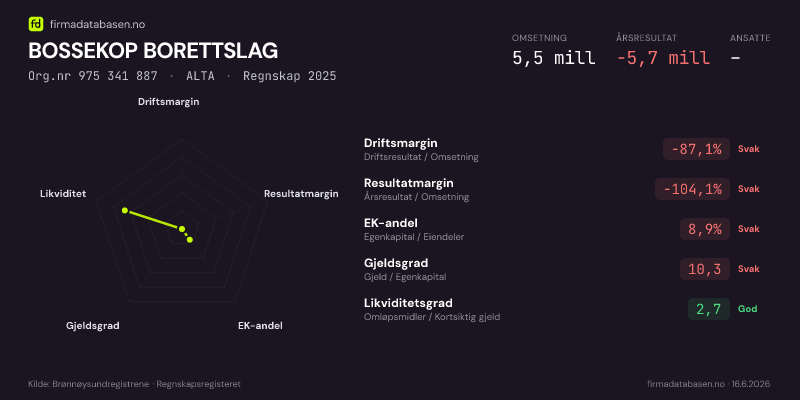 Økonomisk helseprofil for BOSSEKOP BORETTSLAG (Org.nr 975 341 887) i ALTA. Omsetning 5,5 mill, årsresultat −5,7 mill, driftsmargin -87,1 %, resultatmargin -104,1 %, EK-andel 8,9 %, gjeldsgrad 10,3, likviditetsgrad 2,7. Regnskap 2025. Kilde: firmadatabasen.no