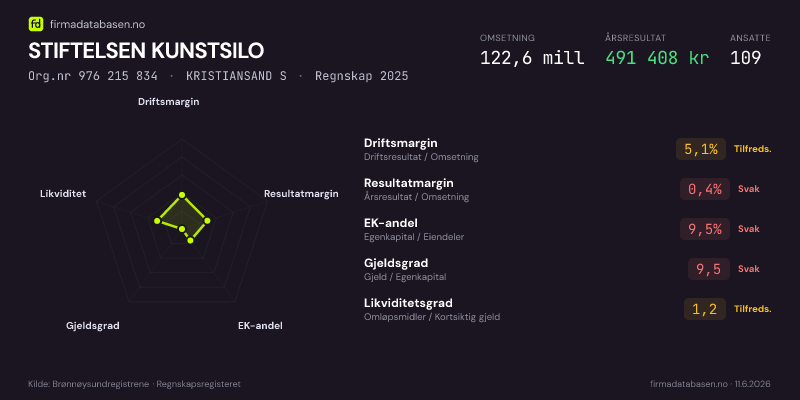 Økonomisk helseprofil for STIFTELSEN KUNSTSILO (Org.nr 976 215 834) i KRISTIANSAND S. Omsetning 122,6 mill, årsresultat 491 408 kr, driftsmargin 5,1 %, resultatmargin 0,4 %, EK-andel 9,5 %, gjeldsgrad 9,5, likviditetsgrad 1,2. Regnskap 2025. Kilde: firmadatabasen.no