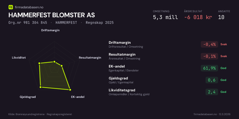 Økonomisk helseprofil for HAMMERFEST BLOMSTER AS (Org.nr 981 304 845) i HAMMERFEST. Omsetning 5,3 mill, årsresultat −6 018 kr, driftsmargin -0,4 %, resultatmargin -0,1 %, EK-andel 61,9 %, gjeldsgrad 0,6, likviditetsgrad 2,4. Regnskap 2025. Kilde: firmadatabasen.no