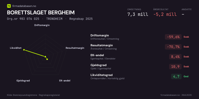 Økonomisk helseprofil for BORETTSLAGET BERGHEIM (Org.nr 983 076 025) i TRONDHEIM. Omsetning 7,3 mill, årsresultat −5,2 mill, driftsmargin -59,6 %, resultatmargin -70,7 %, EK-andel 8,4 %, gjeldsgrad 10,9, likviditetsgrad 4,7. Regnskap 2025. Kilde: firmadatabasen.no