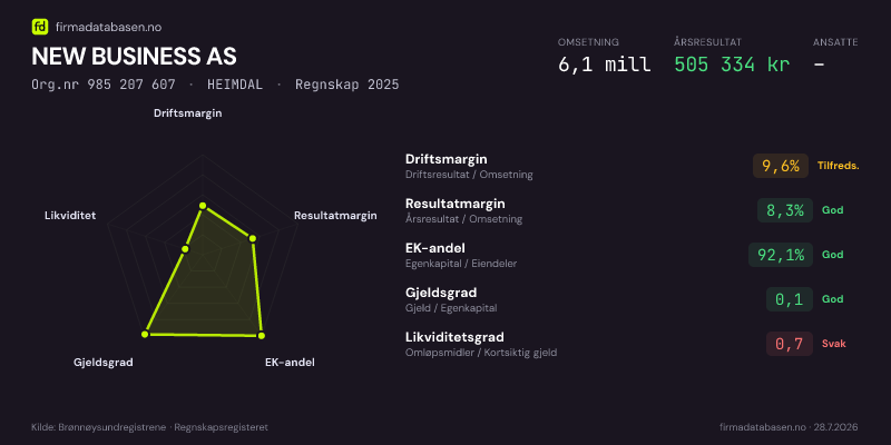 Økonomisk helseprofil for NEW BUSINESS AS (Org.nr 985 207 607) i HEIMDAL. Omsetning 6,1 mill, årsresultat 505 334 kr, driftsmargin 9,6 %, resultatmargin 8,3 %, EK-andel 92,1 %, gjeldsgrad 0,1, likviditetsgrad 0,7. Regnskap 2025. Kilde: firmadatabasen.no