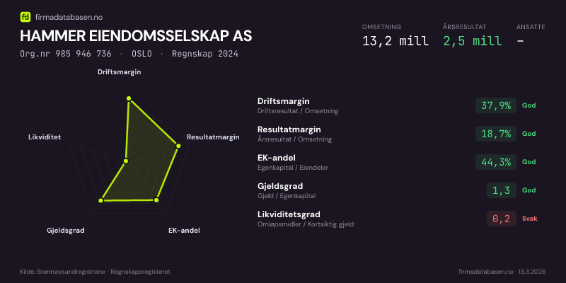Økonomisk helseprofil for HAMMER EIENDOMSSELSKAP AS (Org.nr 985 946 736) i OSLO. Omsetning 13,2 mill, årsresultat 2,5 mill, driftsmargin 37,9 %, resultatmargin 18,7 %, EK-andel 44,3 %, gjeldsgrad 1,3, likviditetsgrad 0,2. Regnskap 2024. Kilde: firmadatabasen.no
