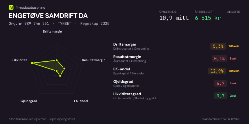 Økonomisk helseprofil for ENGETØVE SAMDRIFT DA (Org.nr 989 746 251) i TYNSET. Omsetning 10,9 mill, årsresultat 6 615 kr, driftsmargin 5,3 %, resultatmargin 0,1 %, EK-andel 12,9 %, gjeldsgrad 6,7, likviditetsgrad 3,7. Regnskap 2025. Kilde: firmadatabasen.no