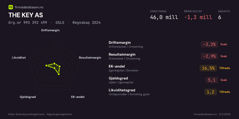 Økonomisk helseprofil for THE KEY AS (Org.nr 993 392 499) i OSLO. Omsetning 46,0 mill, årsresultat −1,3 mill, driftsmargin -3,2 %, resultatmargin -2,9 %, EK-andel 16,5 %, gjeldsgrad 5,1, likviditetsgrad 1,2. Regnskap 2024. Kilde: firmadatabasen.no