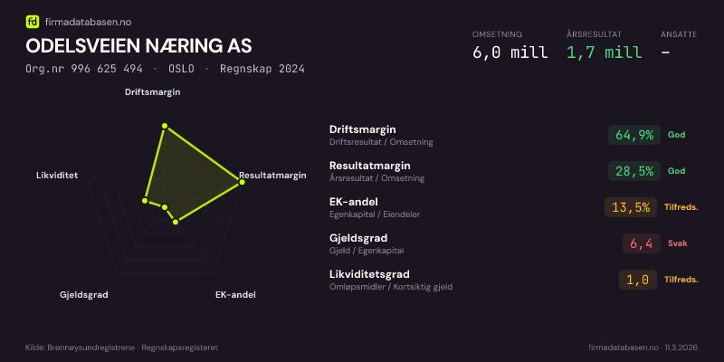 Økonomisk helseprofil for ODELSVEIEN NÆRING AS (Org.nr 996 625 494) i OSLO. Omsetning 6,0 mill, årsresultat 1,7 mill, driftsmargin 64,9 %, resultatmargin 28,5 %, EK-andel 13,5 %, gjeldsgrad 6,4, likviditetsgrad 1,0. Regnskap 2024. Kilde: firmadatabasen.no
